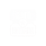 Auto Arremate